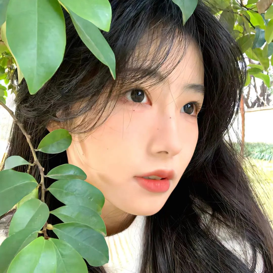 花之乱