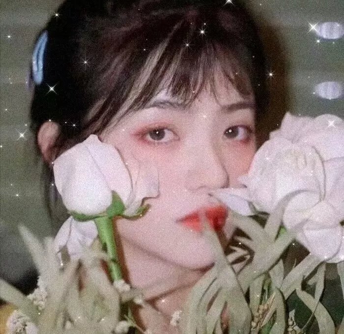 星命难违